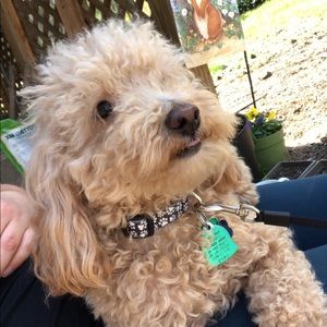 Meet your Posher, Alexandra